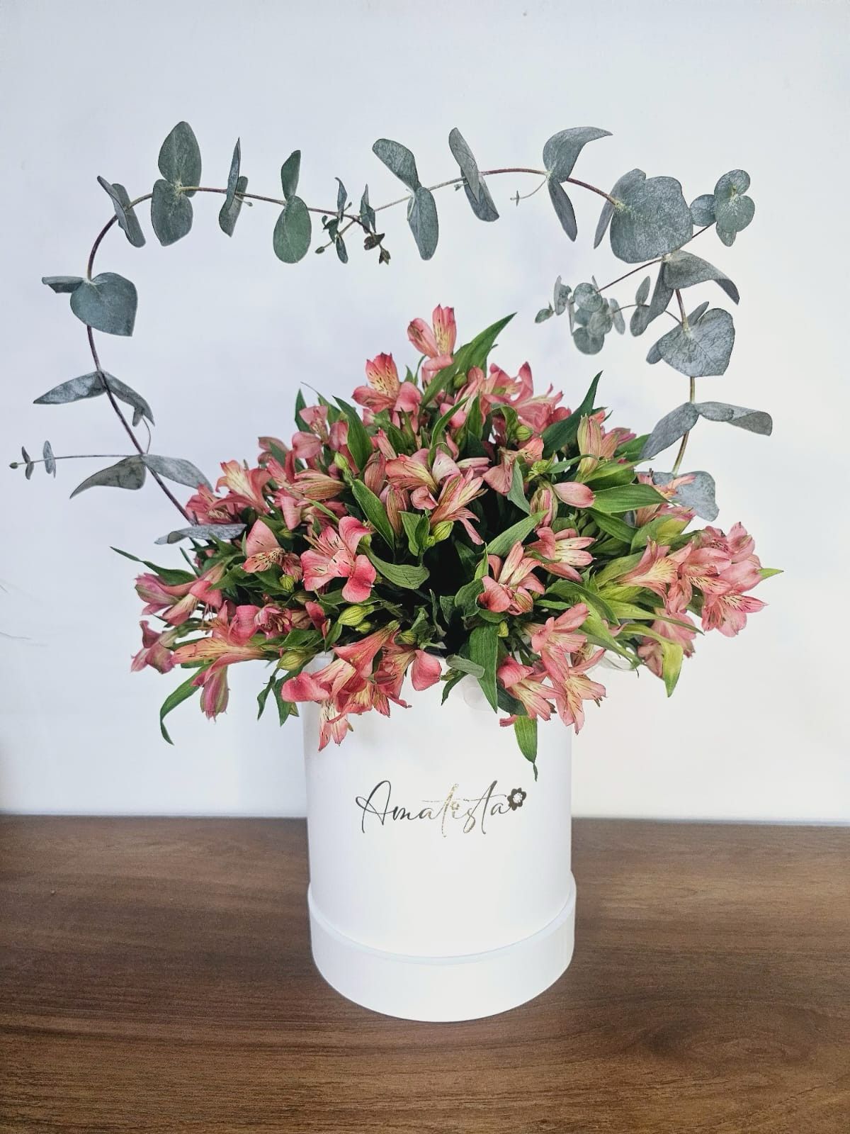 WhatsApp Image 2026-01-27 at 22.31.55